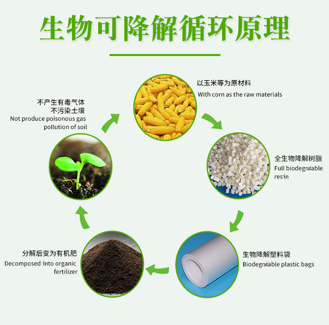 世界各國禁塑令-生物降解袋市（shì）場（chǎng）機遇來了(圖1)