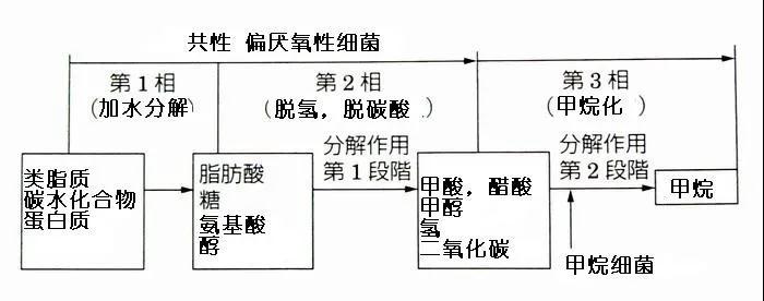 可回（huí）收再利用的塑料袋：可生物降解塑（sù）料(圖3)