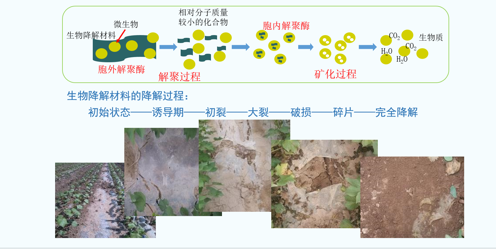 什麽是完全生物降解袋材料(圖1)
