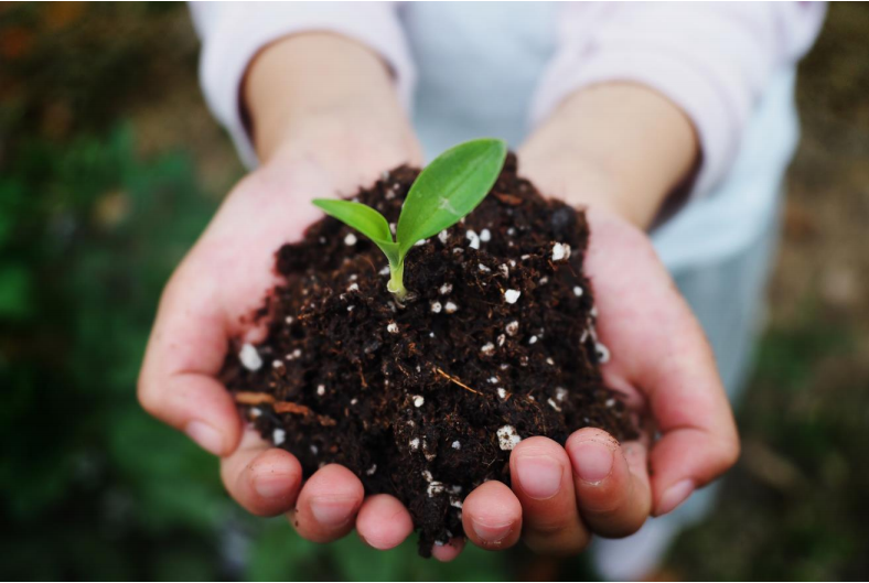 巴斯(sī)夫携手彤(tóng)程新材(cái)料集团在中国合作(zuò)生(shēng)产经 认 证可堆(duī) 肥共聚酯 (PBAT)(图2)
