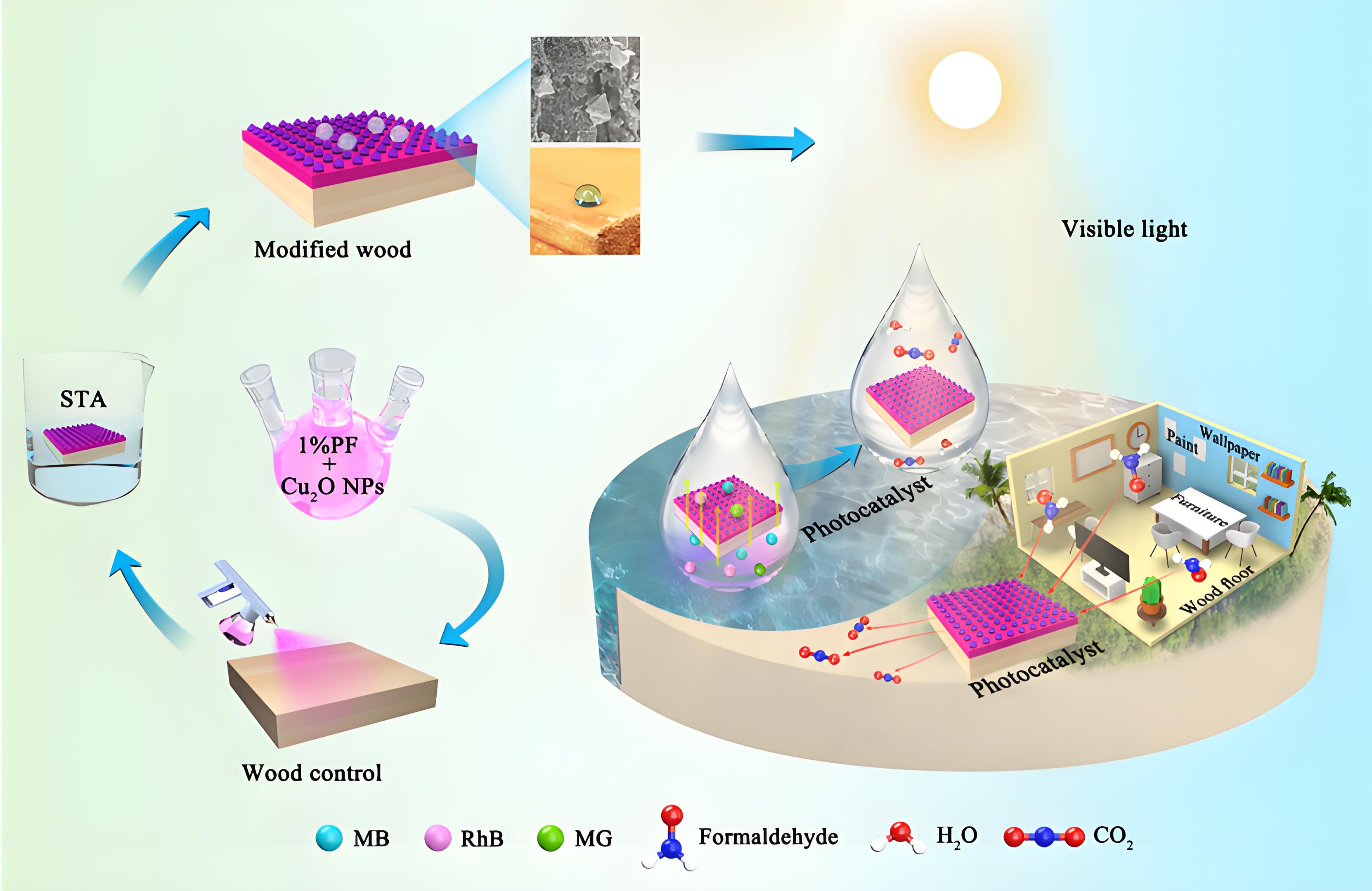 光降解和生物降解塑料袋區別？(圖1)