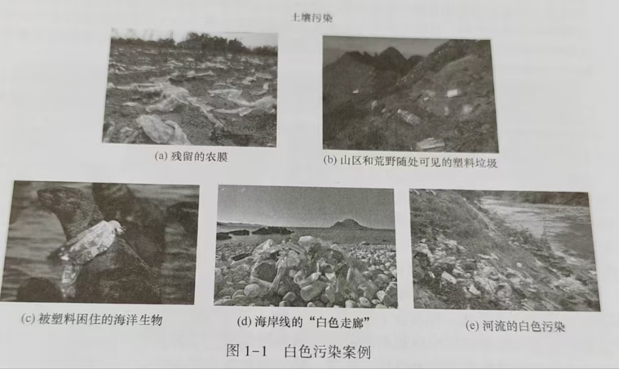 生物降解高分（fèn）子材（cái）料(圖1)