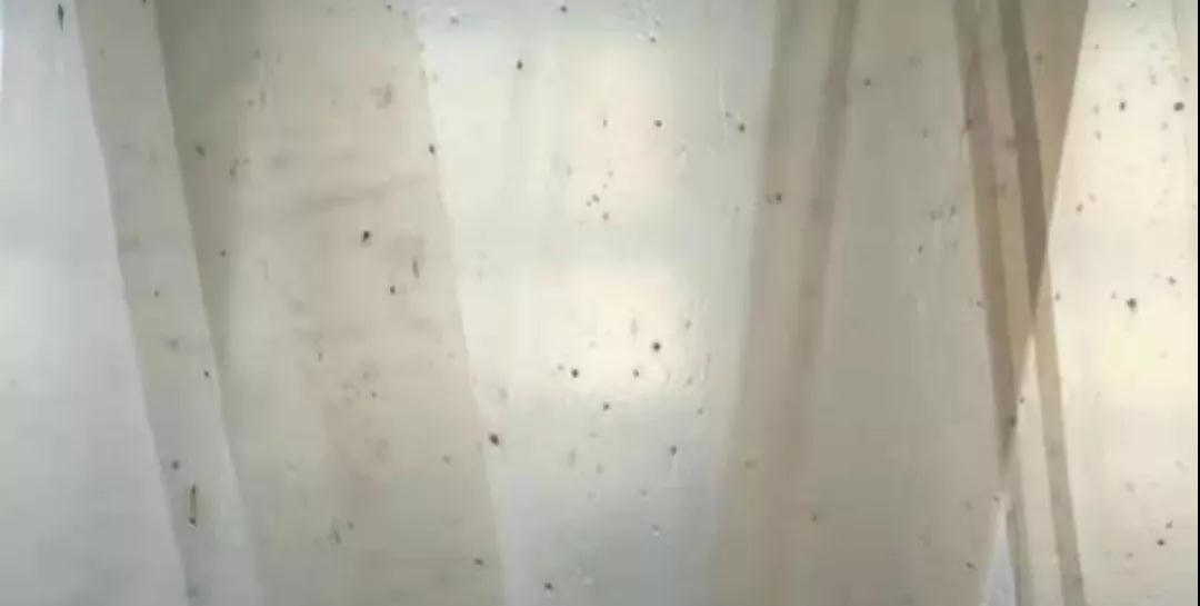 PBAT膜袋有黑點（diǎn）是什麽原因？(圖1)